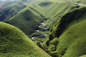 Japan’s Rural Revival: Farm Stays and Artisan Villages Beyond Tokyo